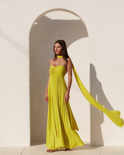 Robe Longue Bustier Plissée - Marianna